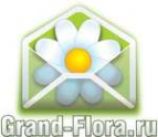 Логотип компании Доставка цветов Гранд Флора (ф-л г.Кубинка)